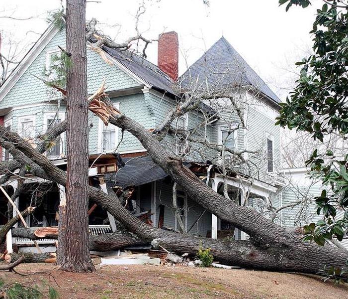 Tree Breaks Window during intense storm