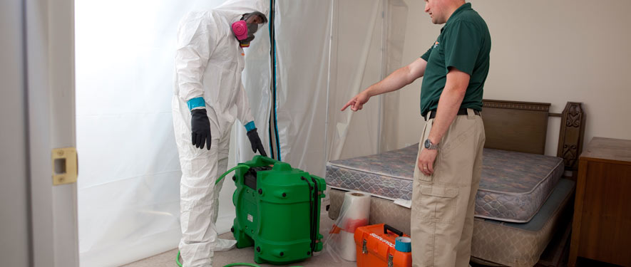 East Hartford, CT mold removal process